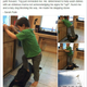 Image for article titled Sarah Palin's Kid Stands on Dog; Palin Blames Dog for Being "Lazy"
